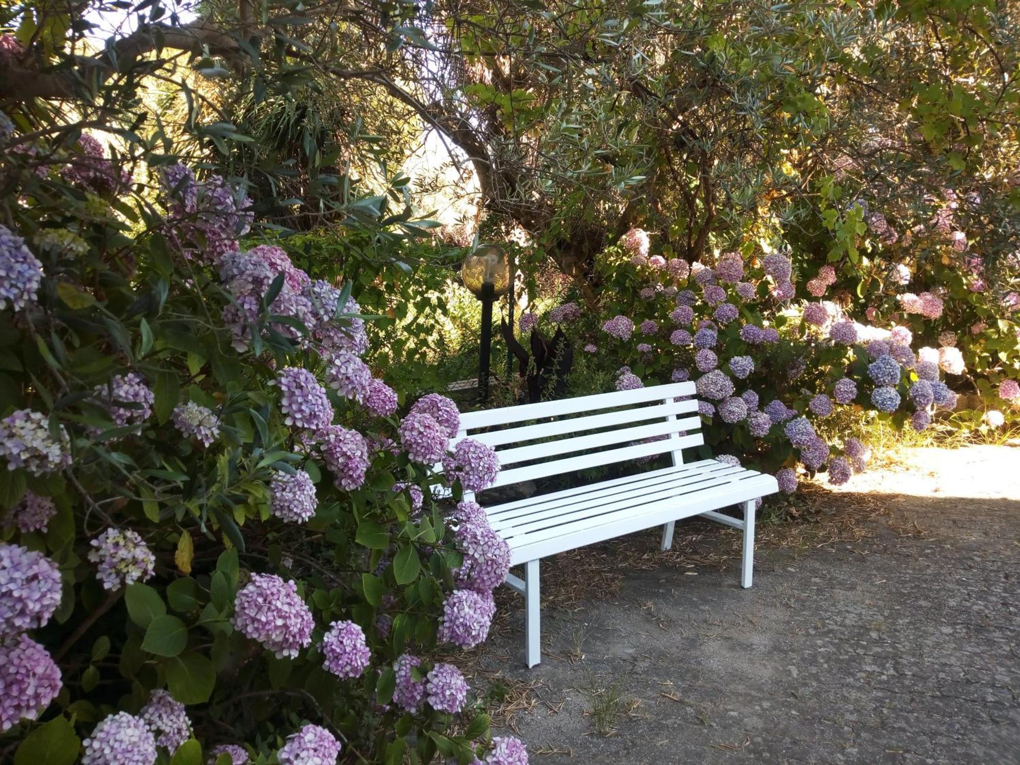 Casa Emilia Hotell Marano Principato Rum bild